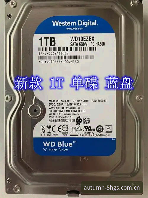 旧版数据兼容包 vs 新版登录：金年会v2.3更新到底值不值得升级？
